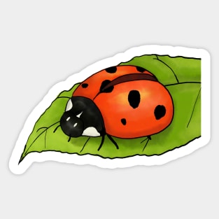 Ladybird Leaf Sticker